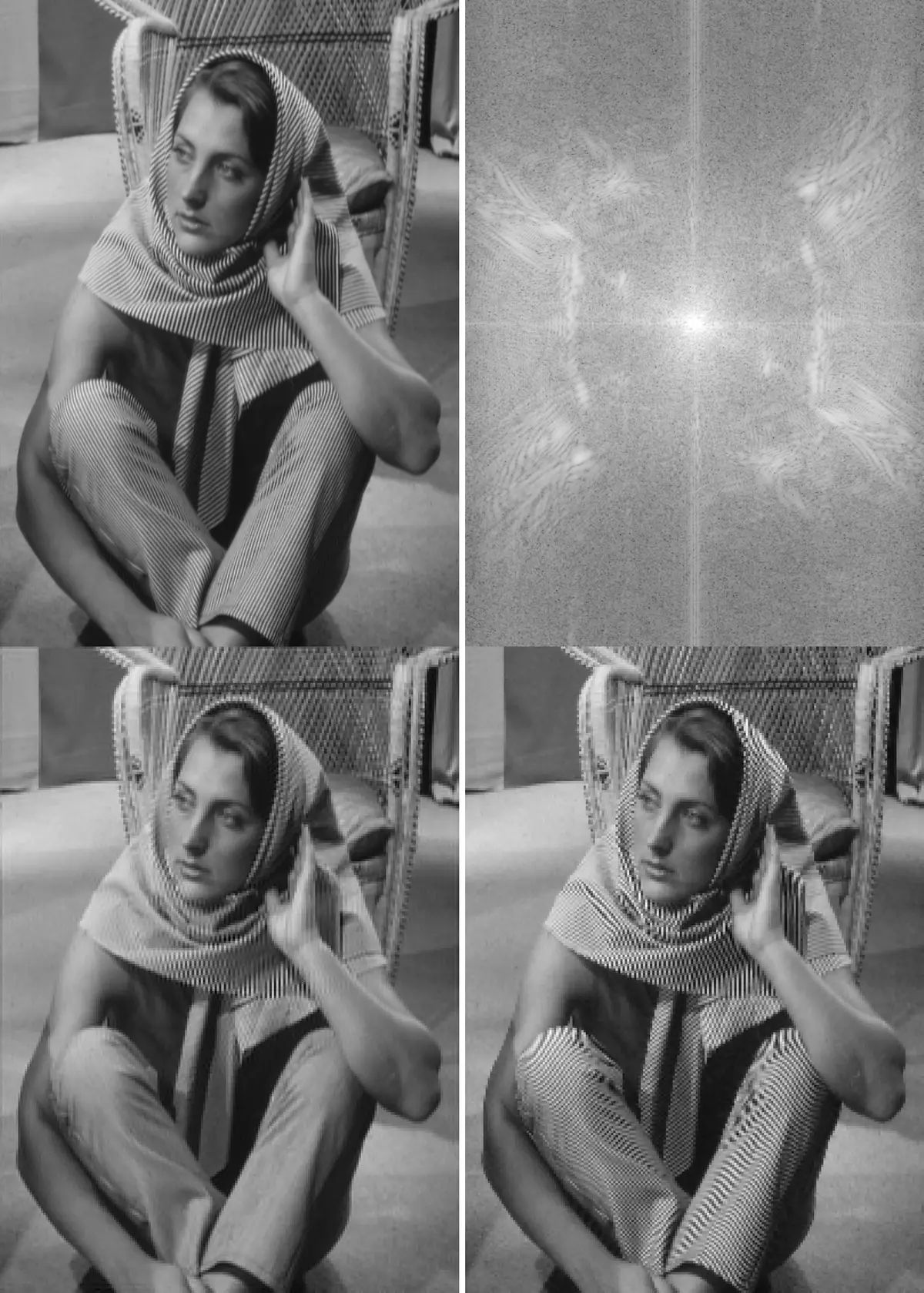 Four panels: a photograph of a seated woman in a striped headscarf and striped trousers; its DFT showing bright lobes away from the centre; the same photo filtered and rescaled, with smooth fabric; and the photo rescaled without filtering, where the stripes have broken into a coarse moiré.
