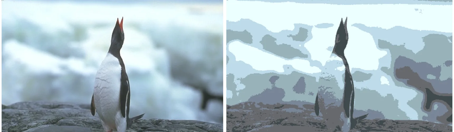 Left: a penguin on a rock, background blurred to soft ice tones. Right: the mean-shift segmentation, breaking the blurred background into several blotchy regions and the penguin into two or three tones.